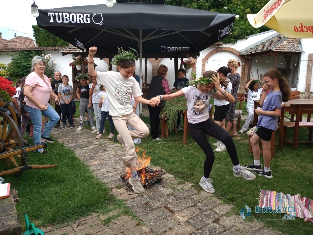 Cvitnjak 20
