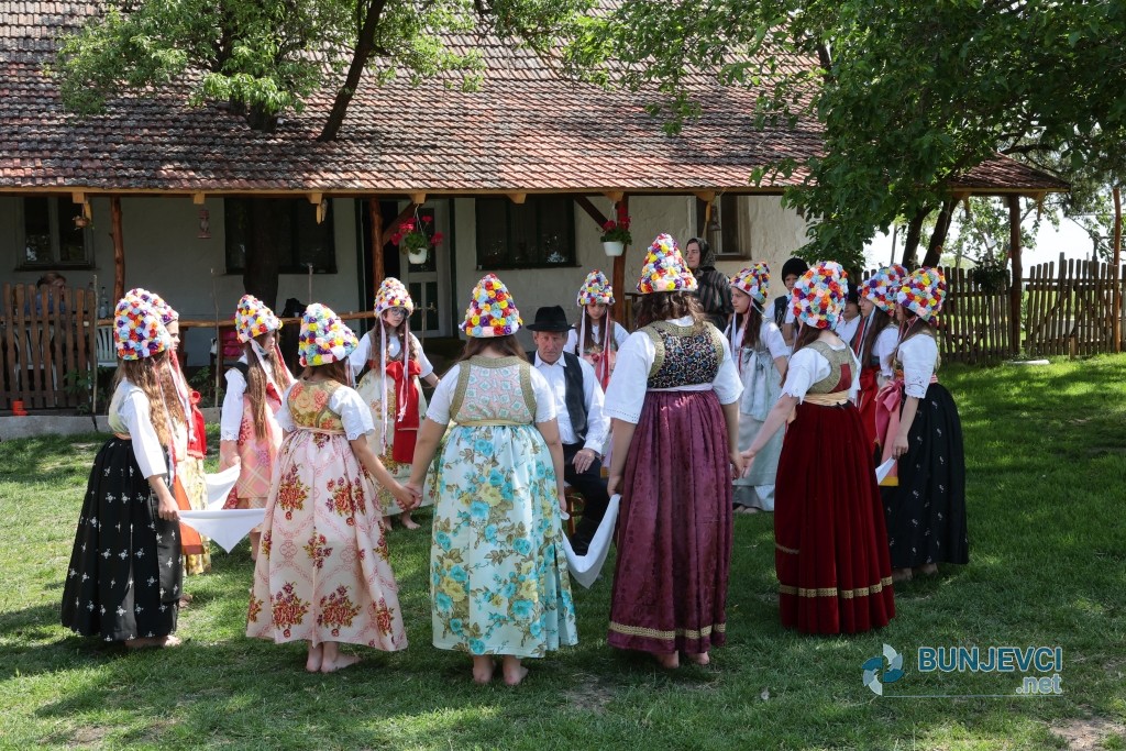 Kraljice 29